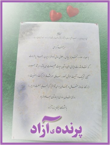 parandeazad yoga6